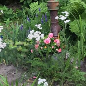 Meet your Posher, Shirley